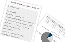 Stock Information